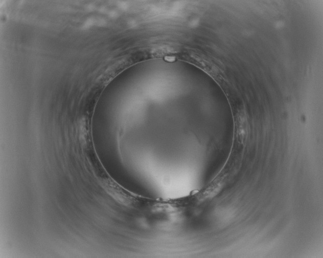 X0000075900519200609151415