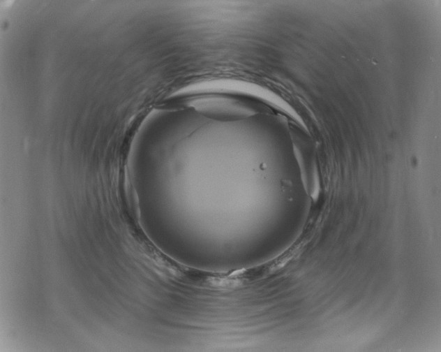 X0000075900520200609151415