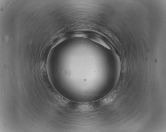 X0000075900521200609151415