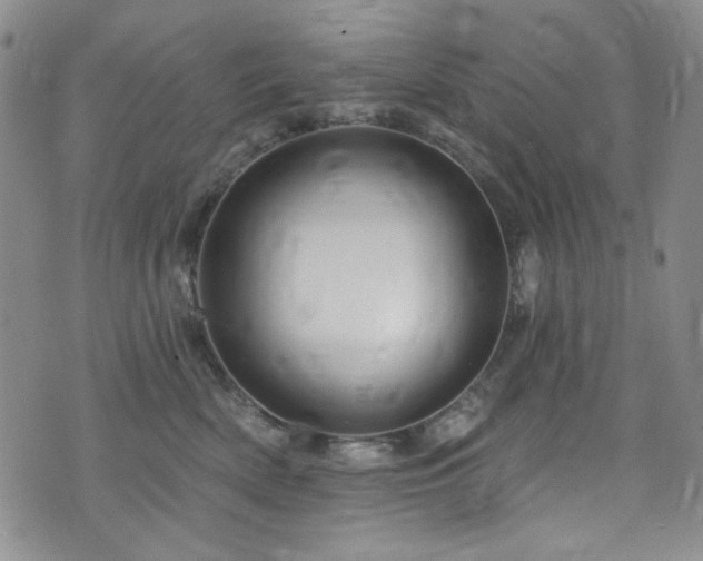 X0000075900522200609151415