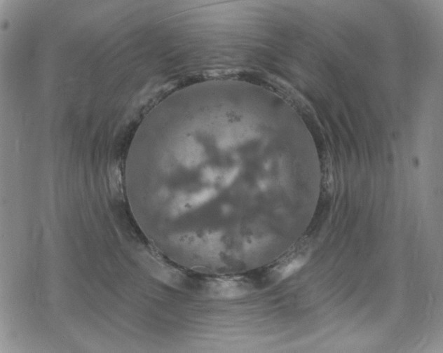 X0000075900523200609151414