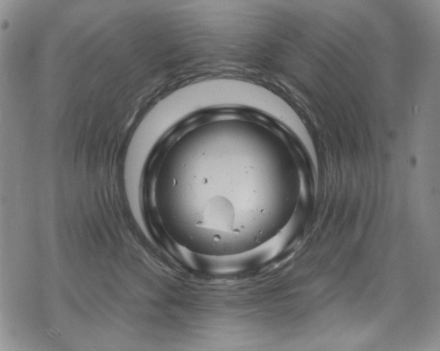 X0000075900524200609151414