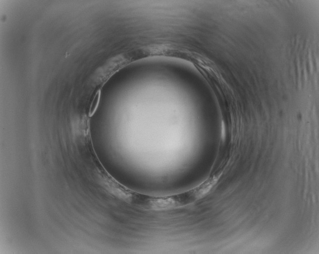 X0000075900525200609151414