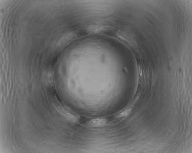 X0000075900526200609151414