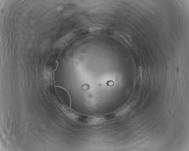 X0000075900527200609151414