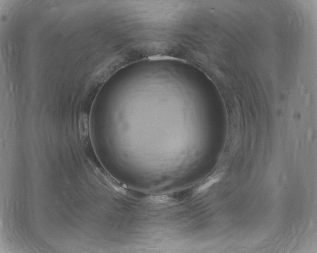 X0000075900528200609151414