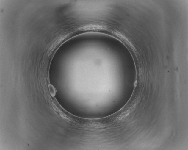 X0000075900529200609151414