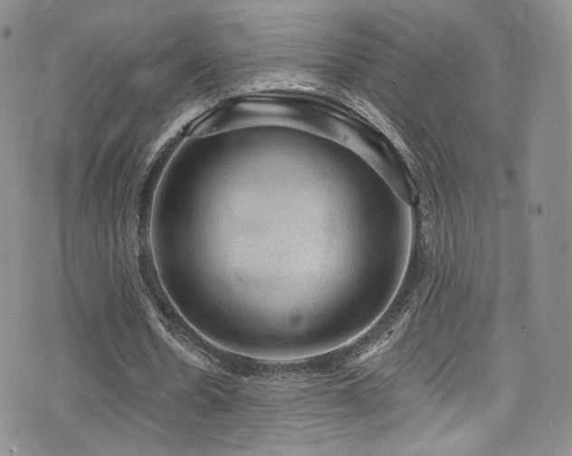 X0000075900530200609151414