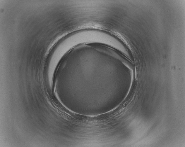 X0000075900531200609151414