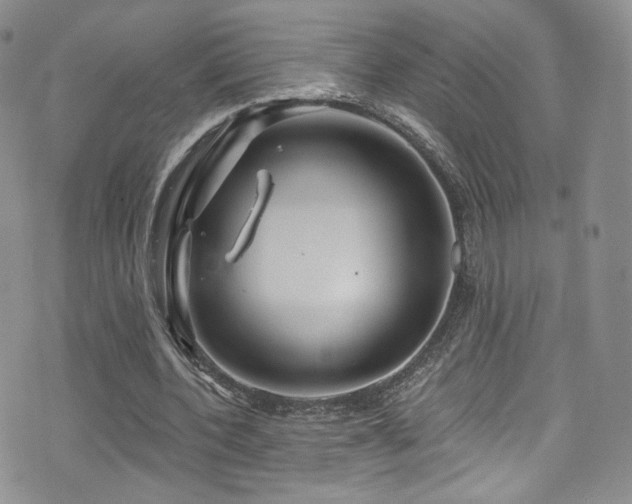 X0000075900532200609151414