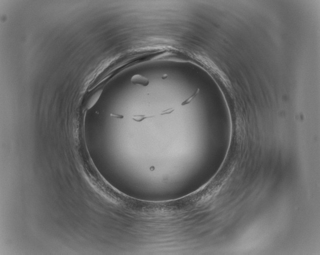 X0000075900533200609151414