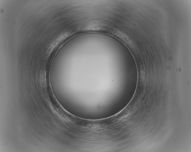 X0000075900534200609151414