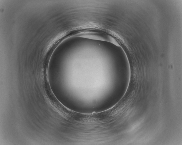 X0000075900535200609151414