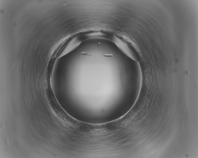 X0000075900536200609151414