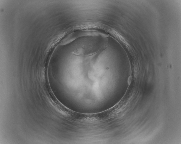 X0000075900537200609151414