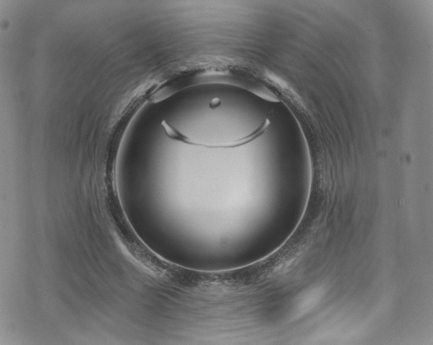 X0000075900538200609151414