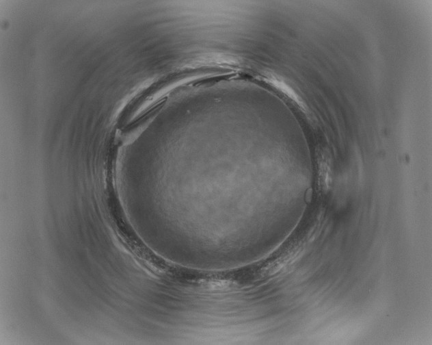 X0000075900539200609151414