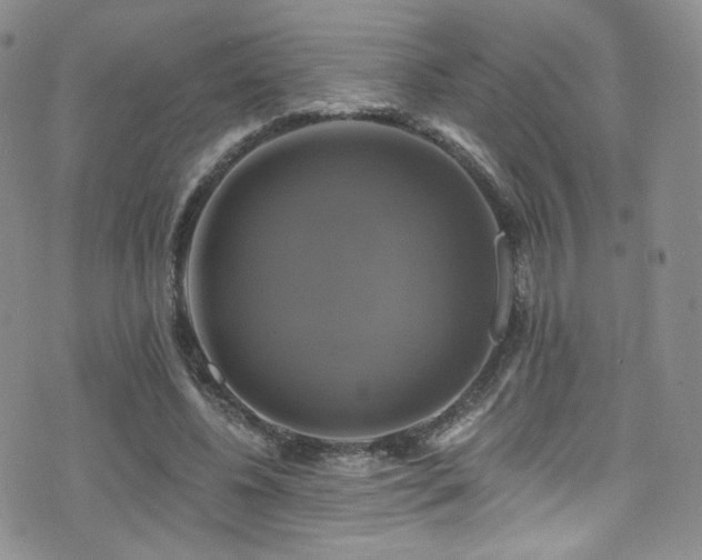 X0000075900540200609151414