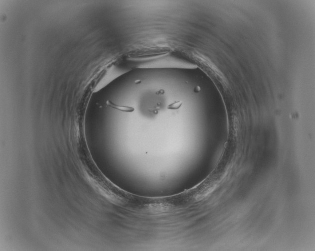 X0000075900541200609151414