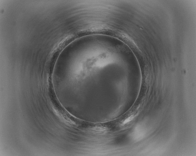 X0000075900542200609151414