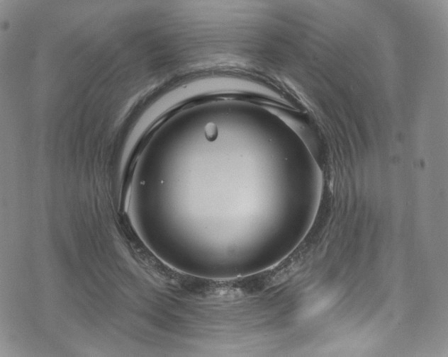 X0000075900543200609151414