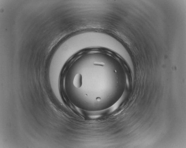 X0000075900544200609151414