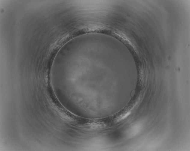 X0000075900545200609151414