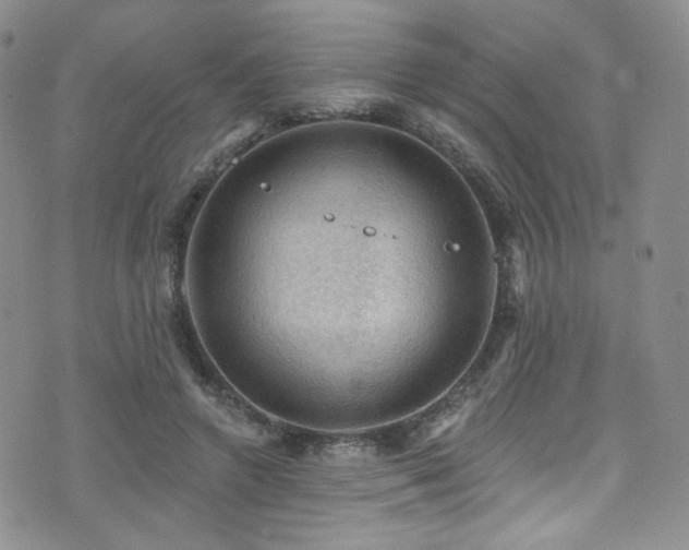 X0000075900546200609151414