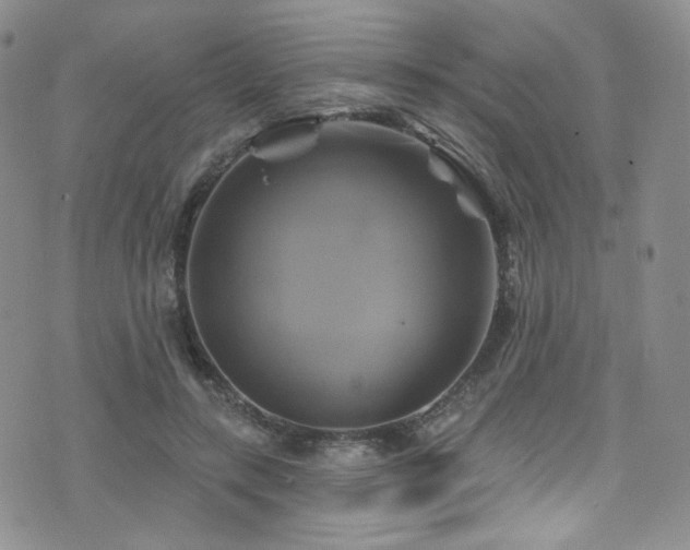 X0000075900547200609151414