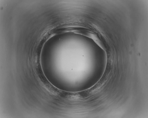 X0000075900548200609151414