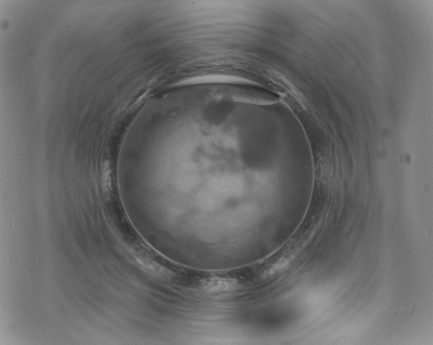 X0000075900549200609151414