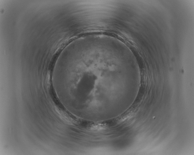 X0000075900550200609151414