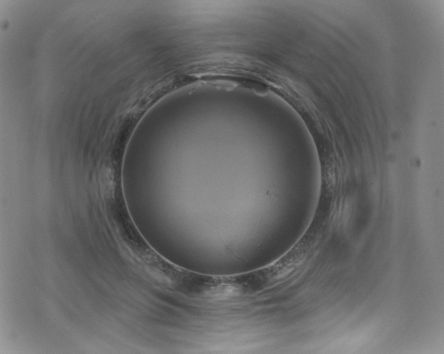 X0000075900551200609151414