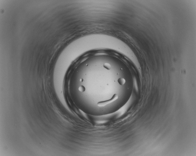 X0000075900552200609151414