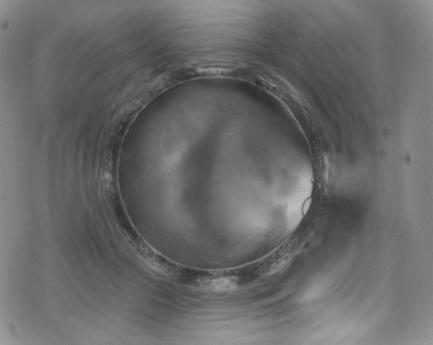 X0000075900553200609151414