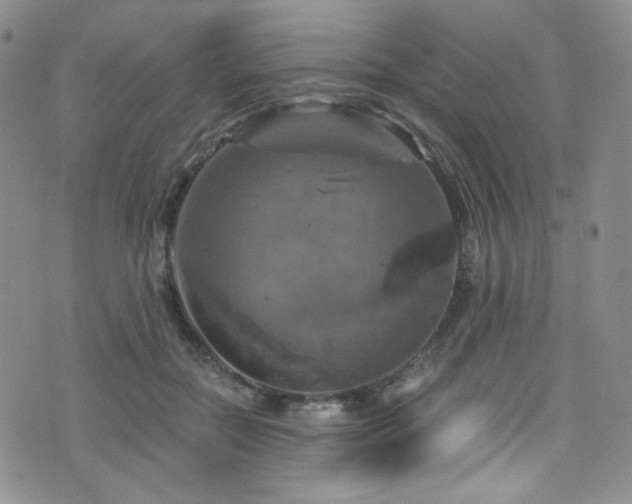 X0000075900554200609151414