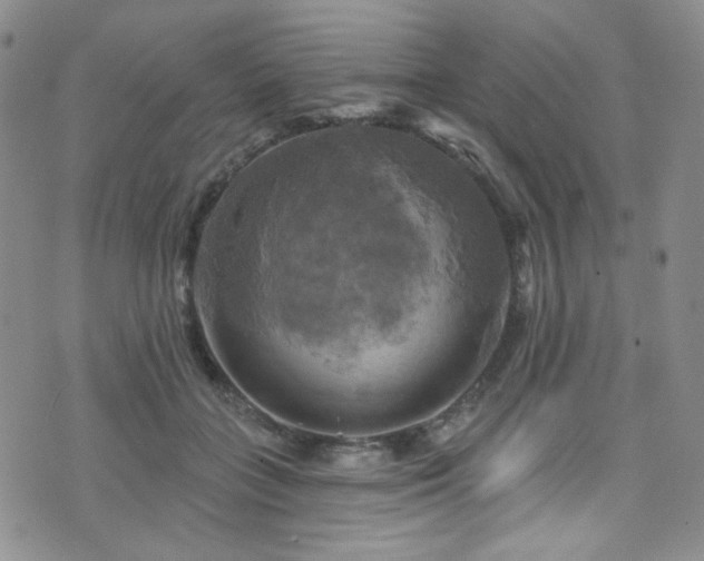 X0000075900555200609151414