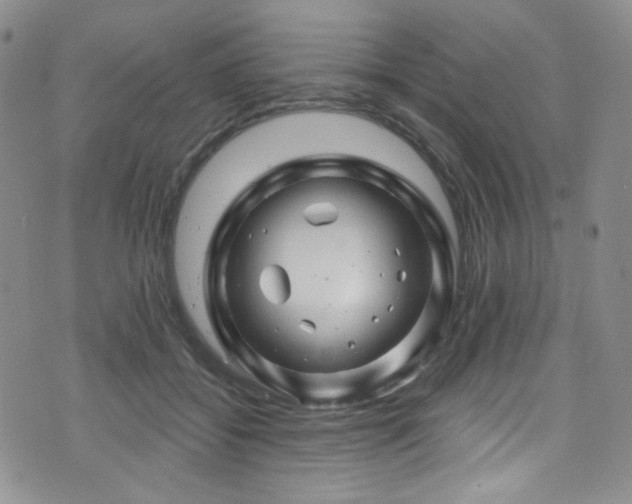 X0000075900556200609151414