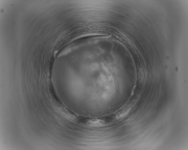 X0000075900557200609151414