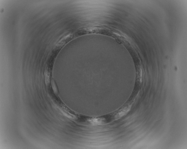 X0000075900558200609151414