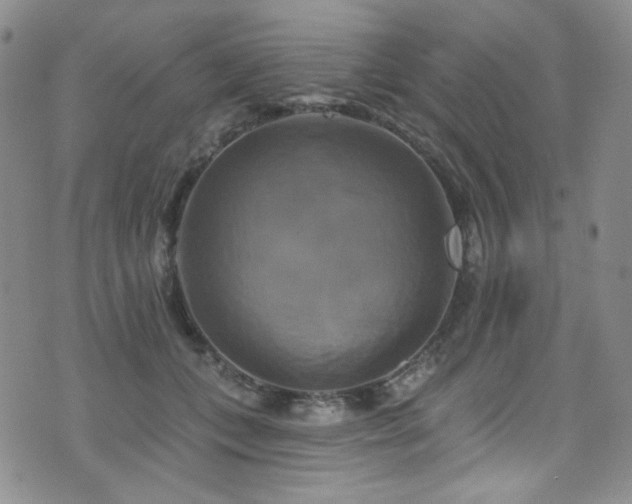 X0000075900559200609151414