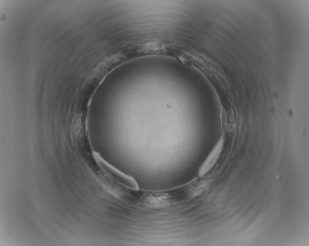 X0000075900560200609151414