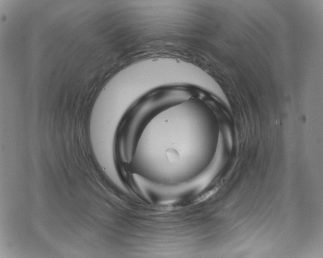 X0000075900562200609151414