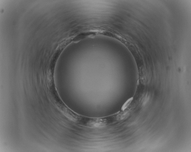 X0000075900563200609151414