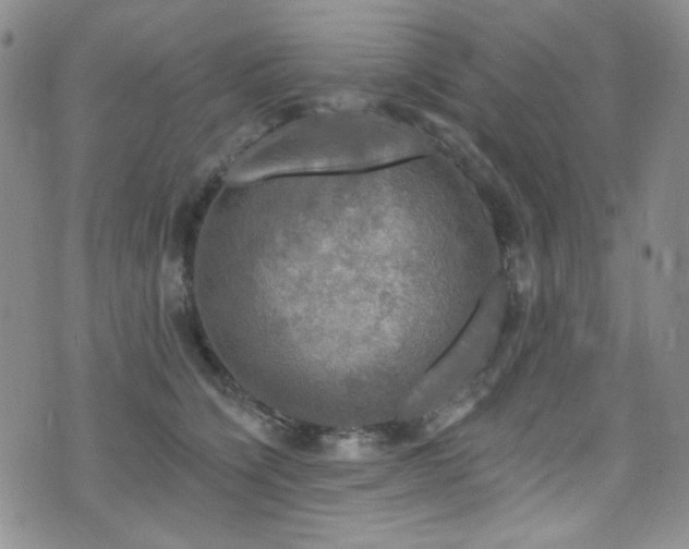 X0000075900564200609151414