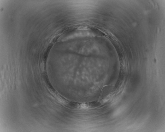 X0000075900565200609151414