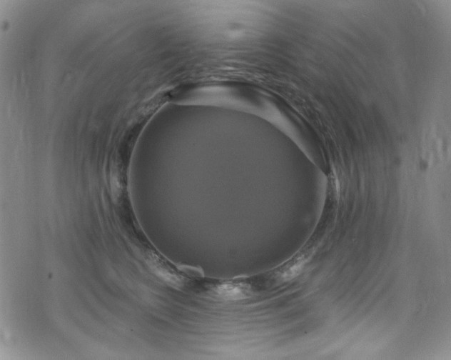 X0000075900566200609151414