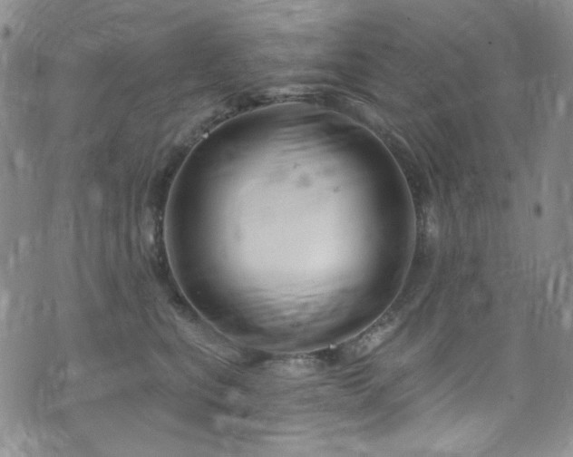 X0000075900567200609151414