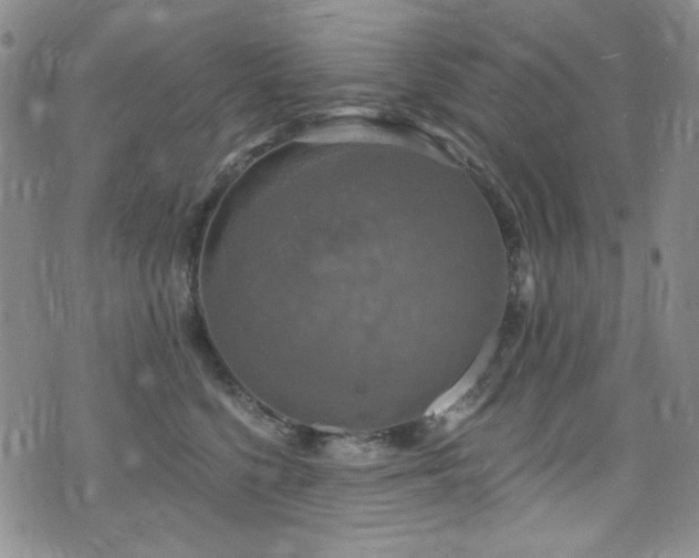 X0000075900568200609151414