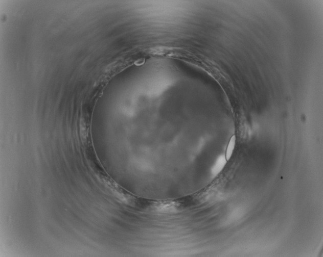 X0000075900569200609151414